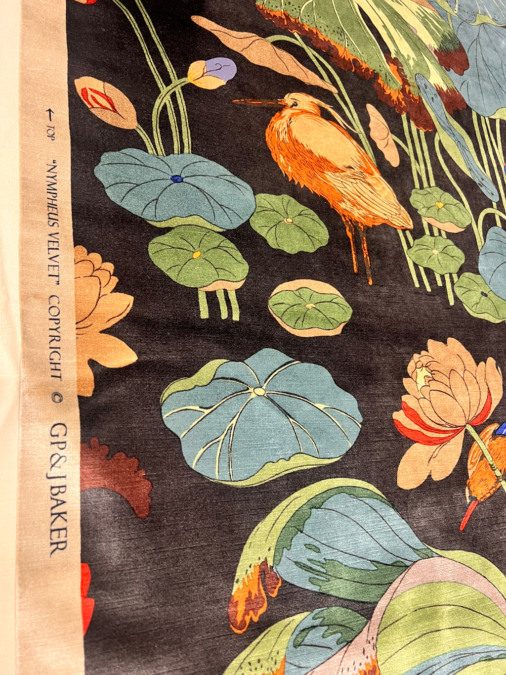 GP&J Baker Nympheus Velvet in Charcoal