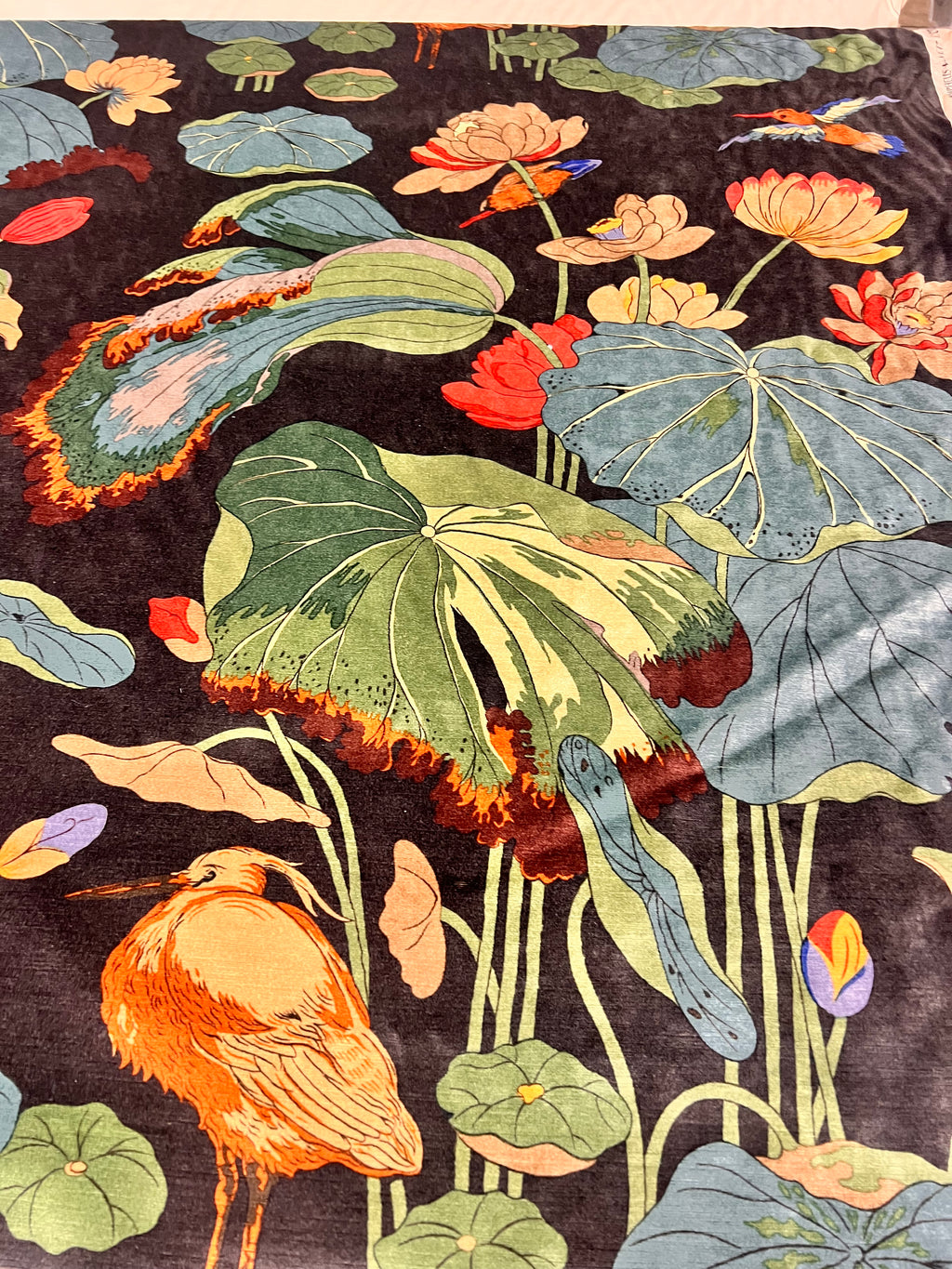 GP&J Baker Nympheus Velvet in Charcoal